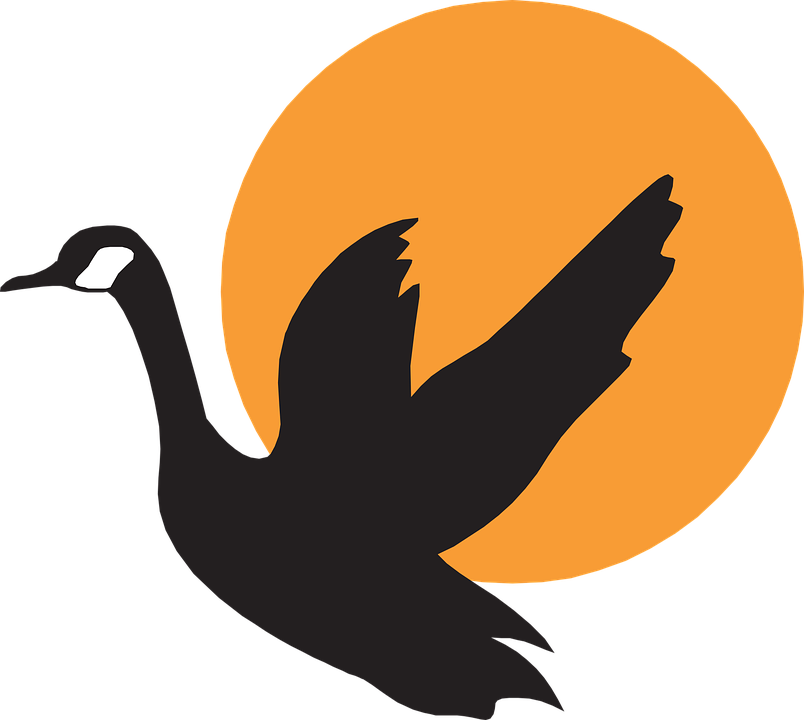 Silhouette Flying Free Vector Graphic On Pixabay - Goose Vector (804x720), Png Download