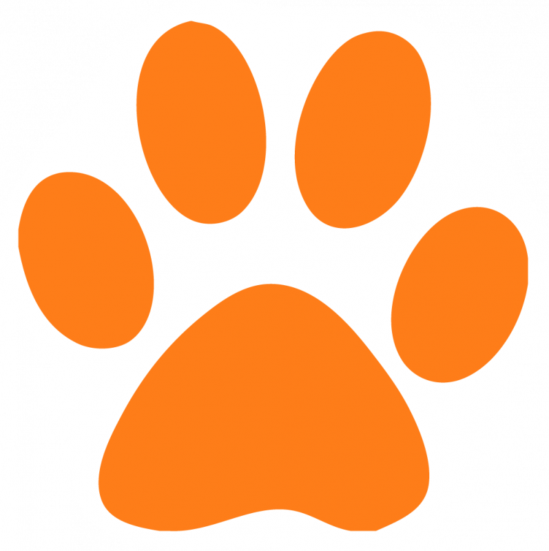 Dog Cougar Paw Clip Art - Dog Paw Red Png (797x800), Png Download