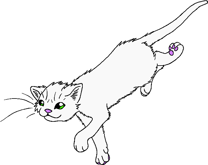 Spider Paw - Warriors (759x605), Png Download