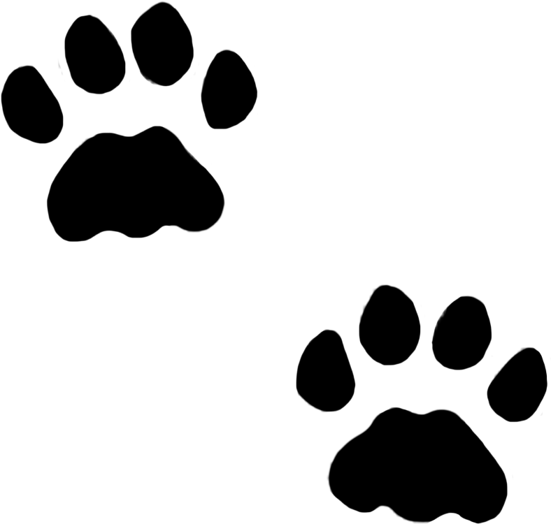 Dog Paws, Cat Paws In Snow, Cat Paw Prints - Paw Prints Clip Art (1063x1063), Png Download