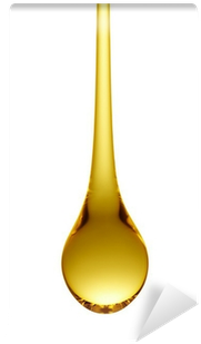 Still Life Photography (400x400), Png Download