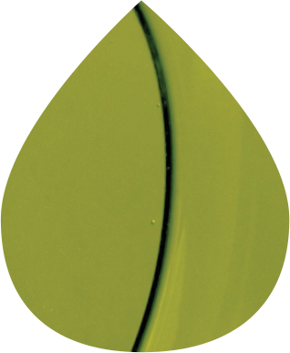 Greenland Olive Oil - Olive Oil (318x386), Png Download