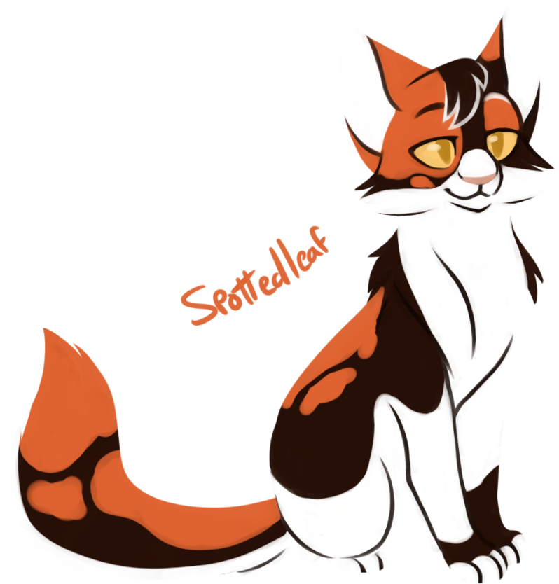 Kittens Clipart Mama Cat - Warriors (903x885), Png Download