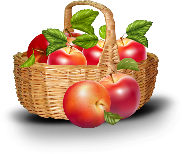 Rubrics - Free Vector Fruit (700x584), Png Download