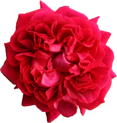 Mainpicture - Adobe Photoshop (380x400), Png Download