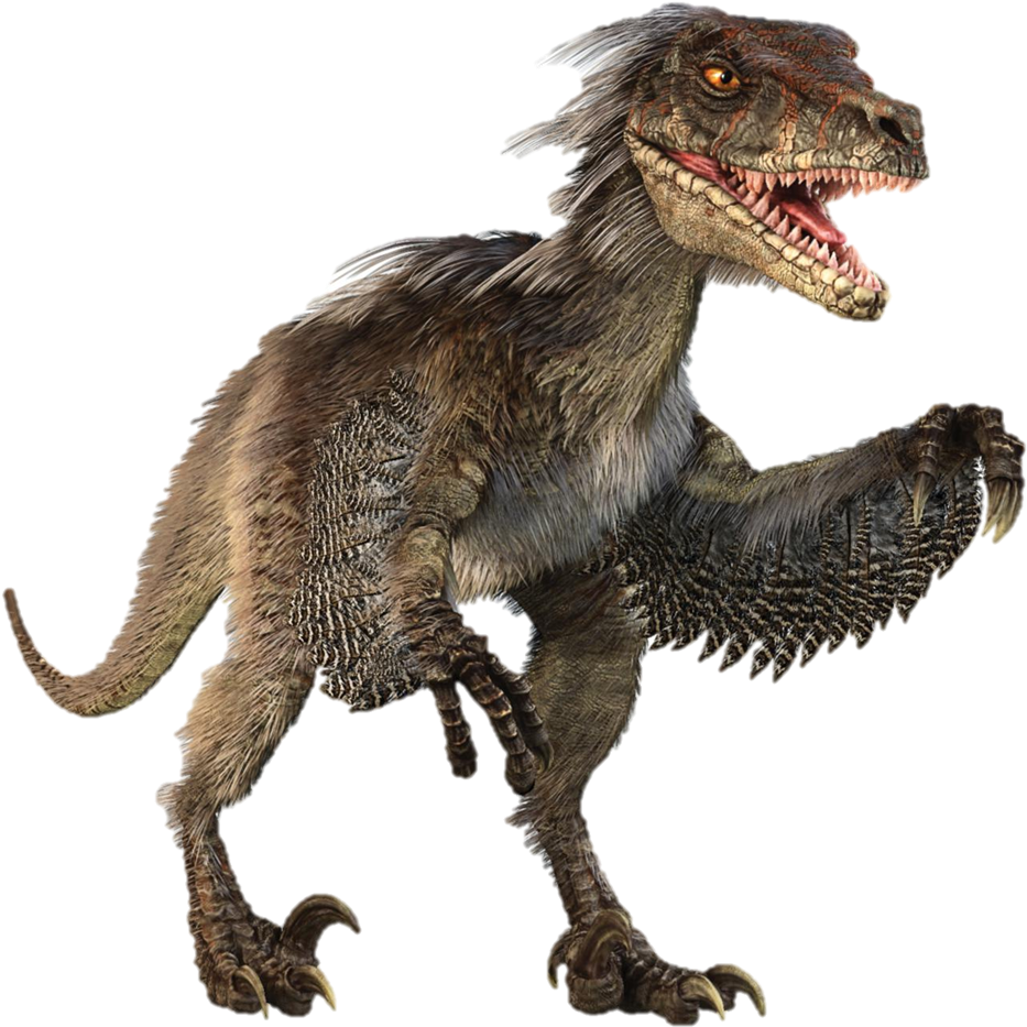 Velociraptor Transparent Vince Carter - Dinosaurs Png (1000x1078), Png Download