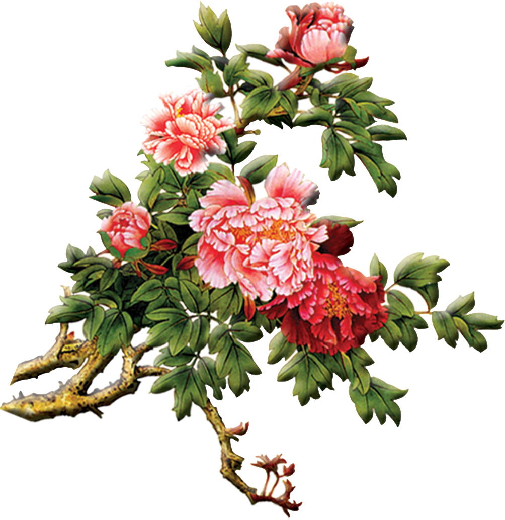 Silk Ribbon Embroidery, Floral Embroidery, Antique - Chinese Painting Peony Png (1004x1034), Png Download