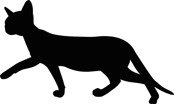 Free Digital Walking Cat Silhouette - Transparent Background Cat Clipart (600x357), Png Download
