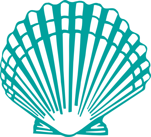 Clam Shell Png - Clam Shell Clip Art (585x530), Png Download