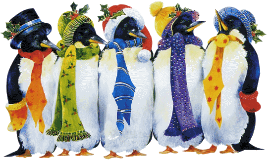 Christmas Penguins - Guten Morgen Samstag Lustig (539x324), Png Download