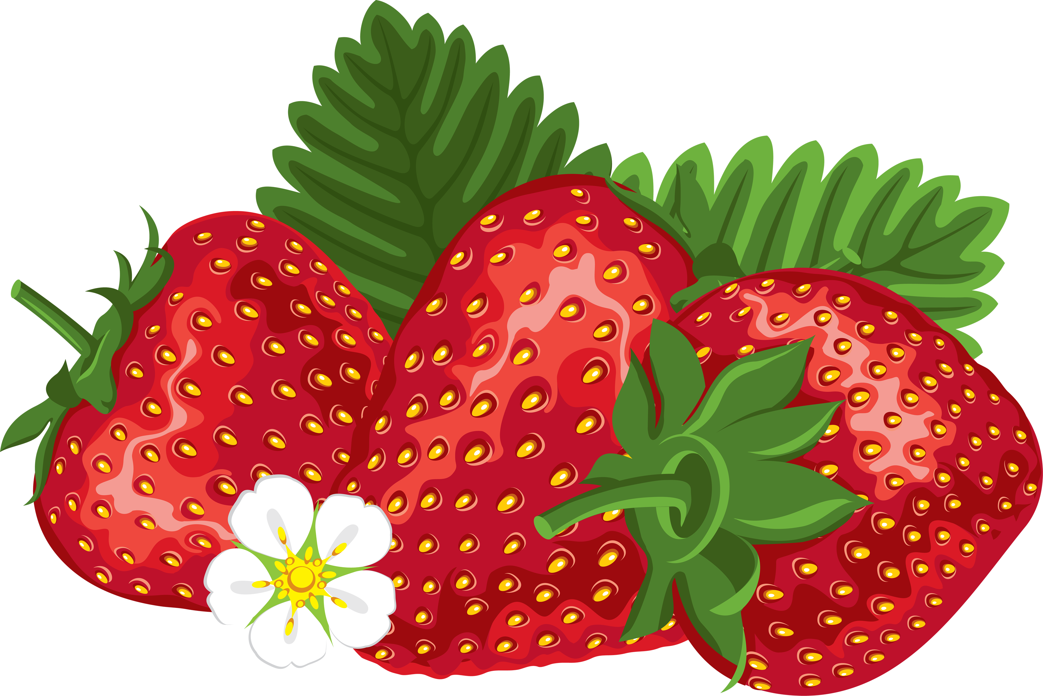 Strawberry Png Image - Strawberries Clipart Png (3439x2296), Png Download