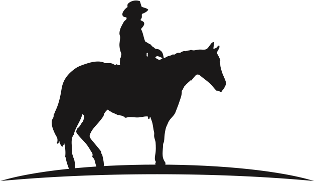 Meet The Outlaws - Outlaw (960x460), Png Download