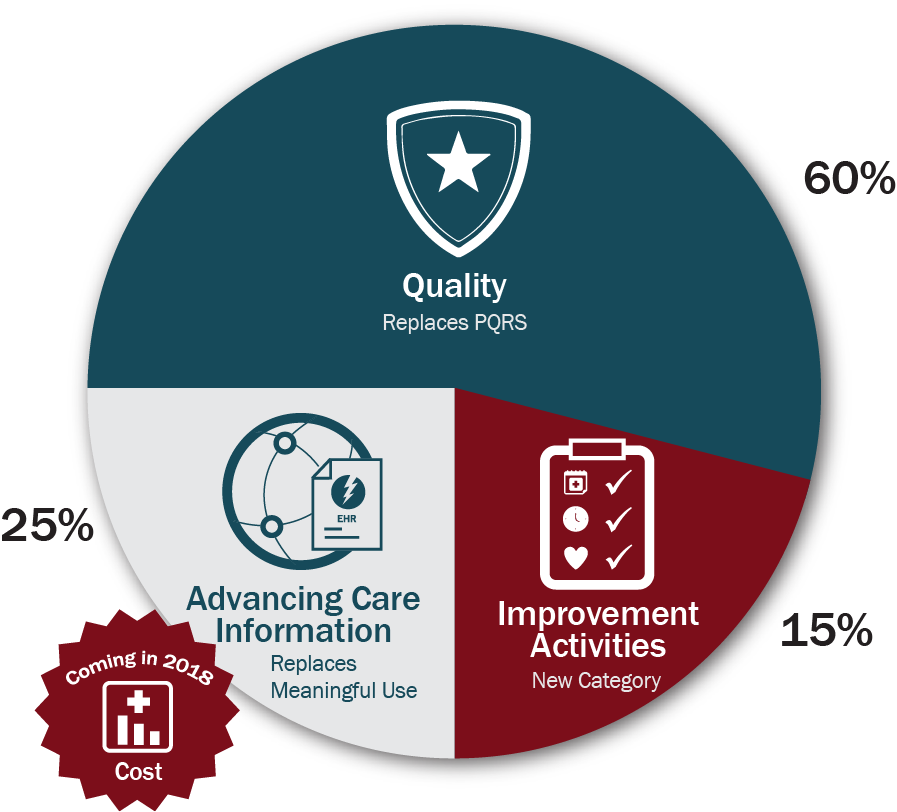 Benchmarking At Individual Provider And Group (tin) - Circle (897x812), Png Download