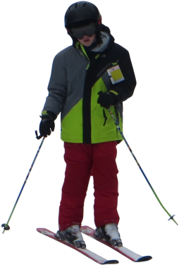 Architecture Visualization, French Fries, Pizza, Skiing, - Nordic Skiing (375x375), Png Download