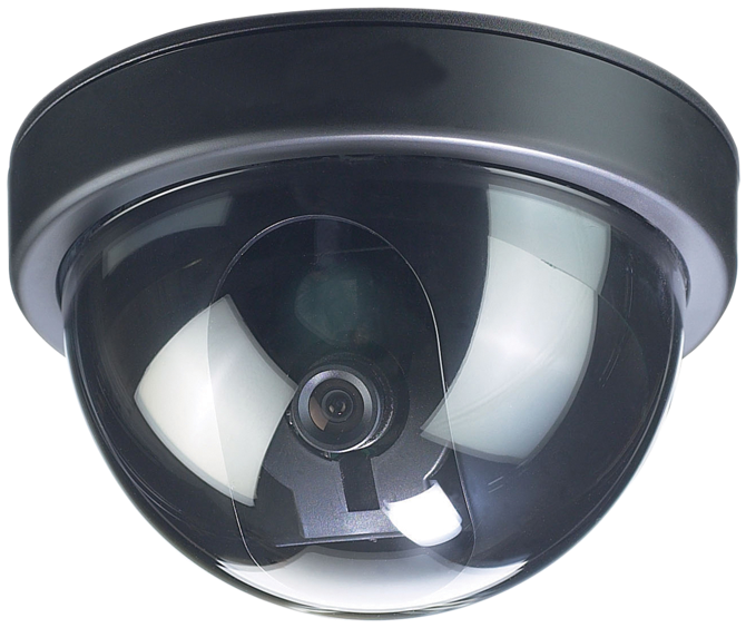 Lorex Simulated (dummy) Dome Camera (900x600), Png Download