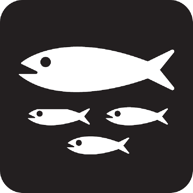 Mb Image/png - Fish Black And White Symbol (800x800), Png Download