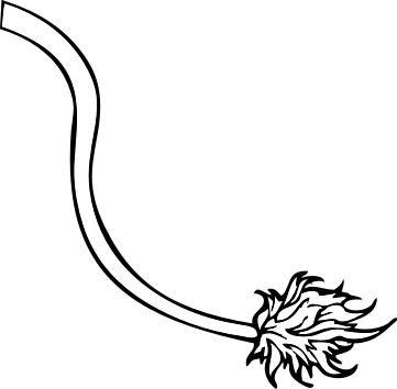 Collection Of Lion Clipart High Quality - Tail Clip Art Black And White (361x354), Png Download