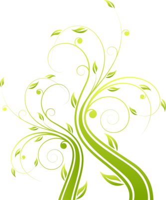 Florales En Vectores - Photography (333x400), Png Download