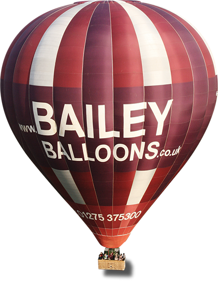Check Flight Availability - Bristol International Balloon Fiesta (441x568), Png Download