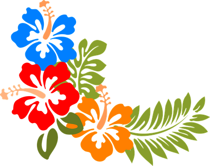 Hibiscus Hawaii Flowers Tropical Colorful - Hibiscus Border (431x340), Png Download