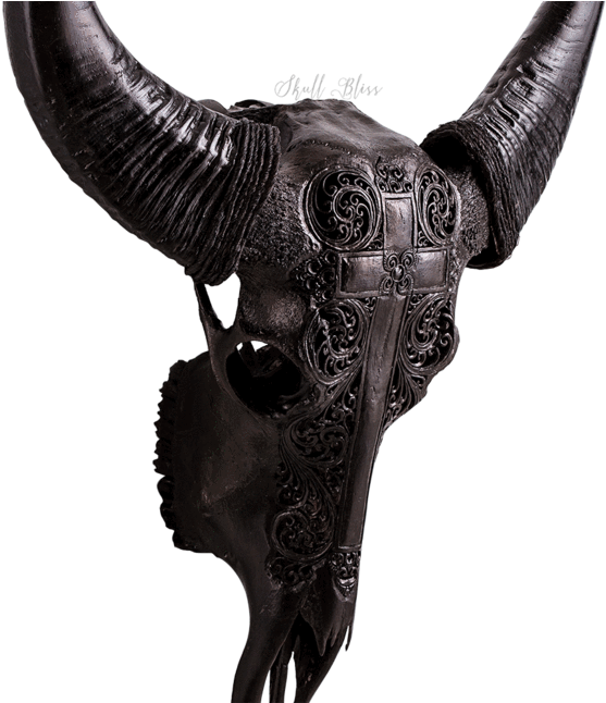Carved Buffalo Skull - Horn (645x645), Png Download