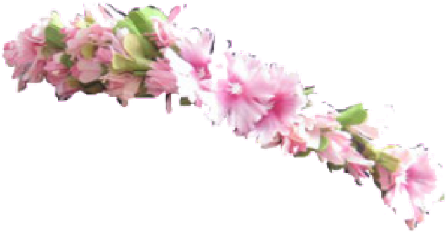 Daisy Flower Crown Transparent (640x480), Png Download