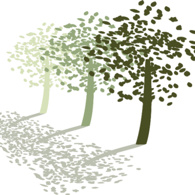 Olive Tree Travel - Maidenhair Tree (400x400), Png Download