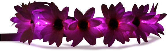 Light Up Flower Crown-littlelightlab - Flower (600x400), Png Download