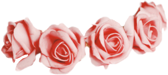 Pink Transparent Flower Crown Clipart Flower Crown - Pink Transparent Flower Crown (540x240), Png Download