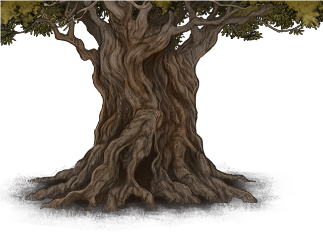 Root (640x500), Png Download