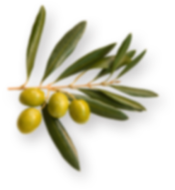 “our Mission Is To Produce The Worlds Best Extra Virgin - Olive Oil (360x391), Png Download