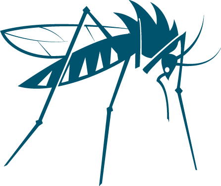Mosquito Illustration Png (446x375), Png Download