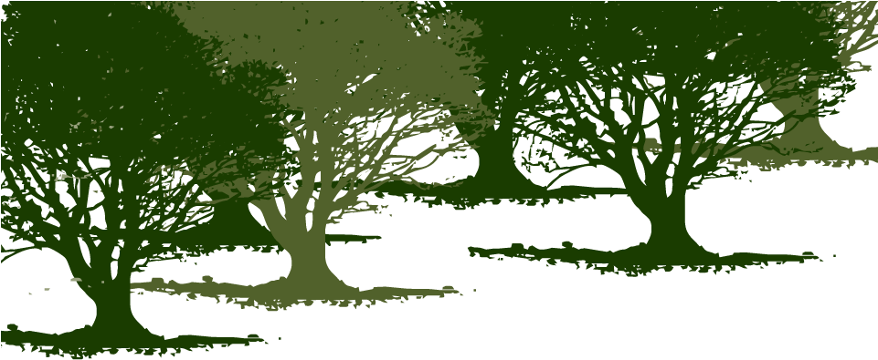 Olive Tree Background - Illustration (960x560), Png Download
