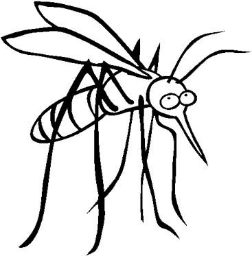 Aviral Resources - Coloring Picture Of Mosquito (400x400), Png Download
