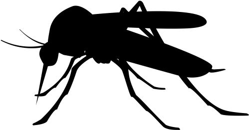 Isntd Mosquito - Mosquito Black Png (600x601), Png Download
