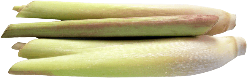 Best Lemongrass Png - Portable Network Graphics (850x293), Png Download