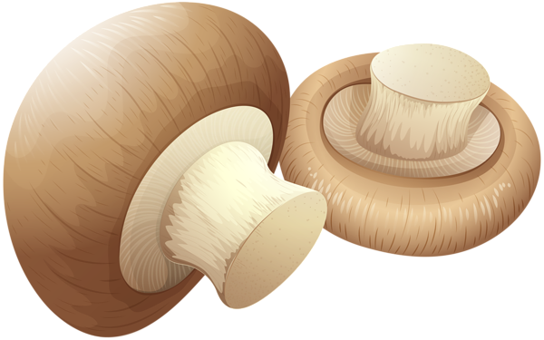 Mushrooms Png Clip Art - Clip Art Mushroom Png (600x375), Png Download