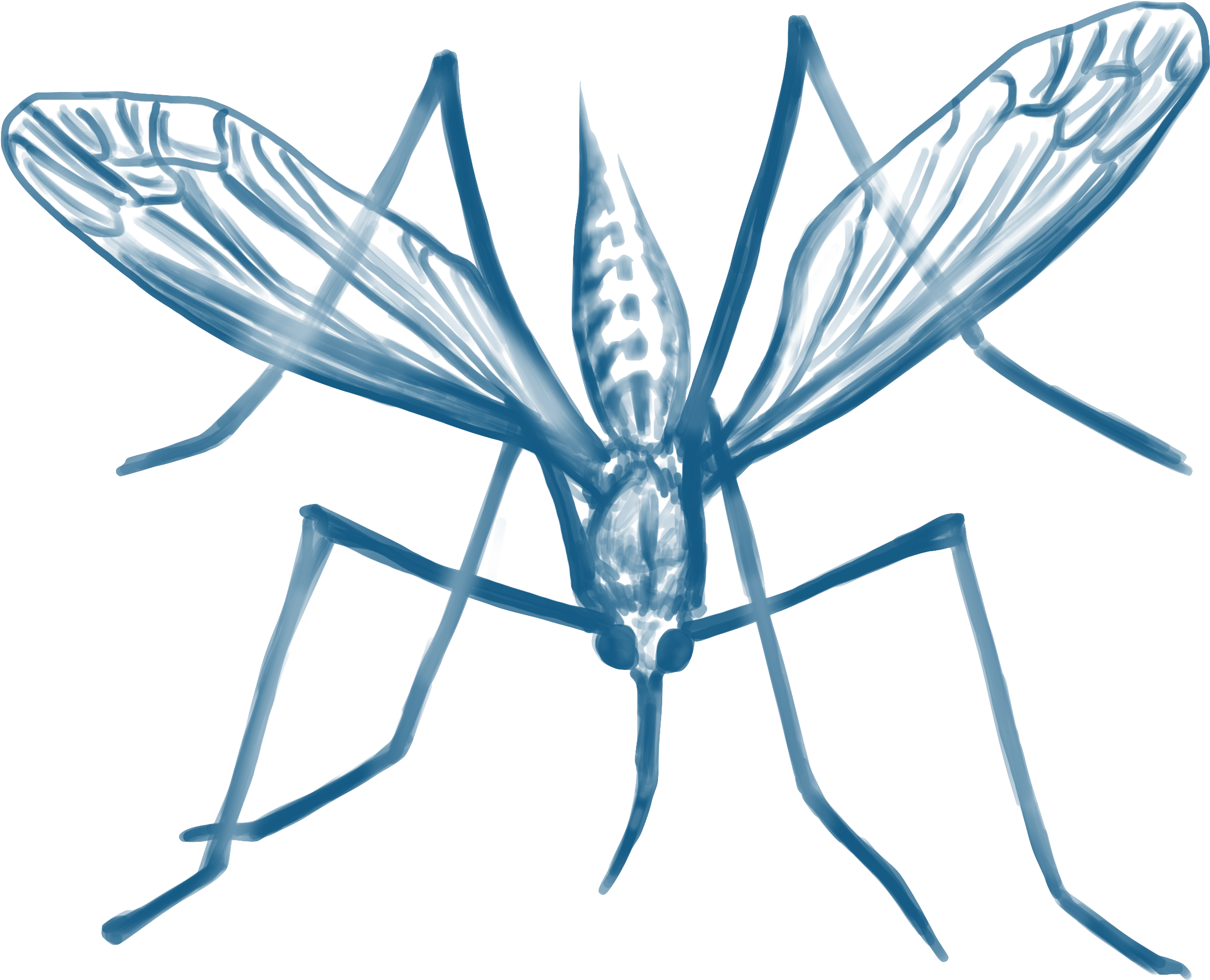 Mosquito Da Malaria Png (2520x2064), Png Download