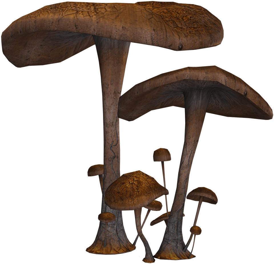 Nature - Fantasy Mushrooms Png (1280x960), Png Download