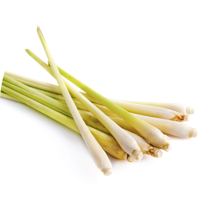 Lemongrass - Ázsiai Citromfű (410x410), Png Download