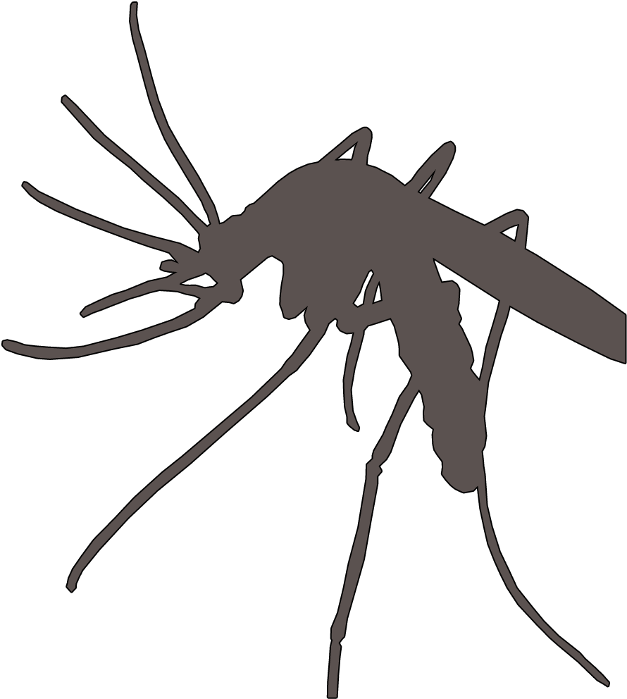 Plasmodium Vector Anopheles Mosquito - Mosquito Malaria Png (1268x1288), Png Download
