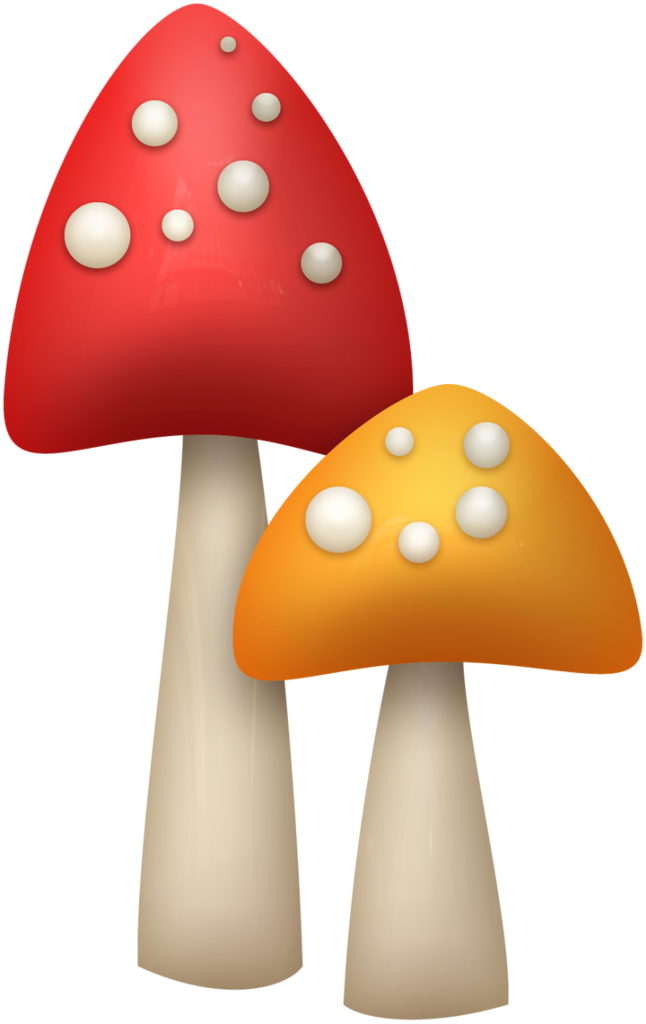 Mushrooms - Red Mushroom Pic Art (646x1024), Png Download