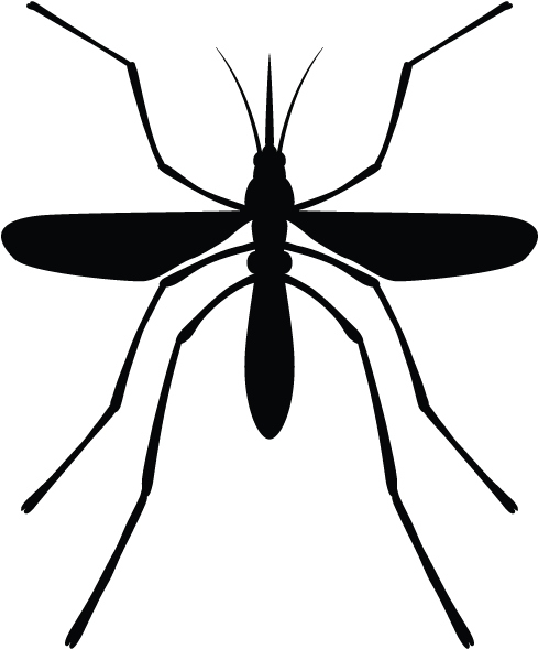 Our Maintenance Plans - Mosquito (600x600), Png Download