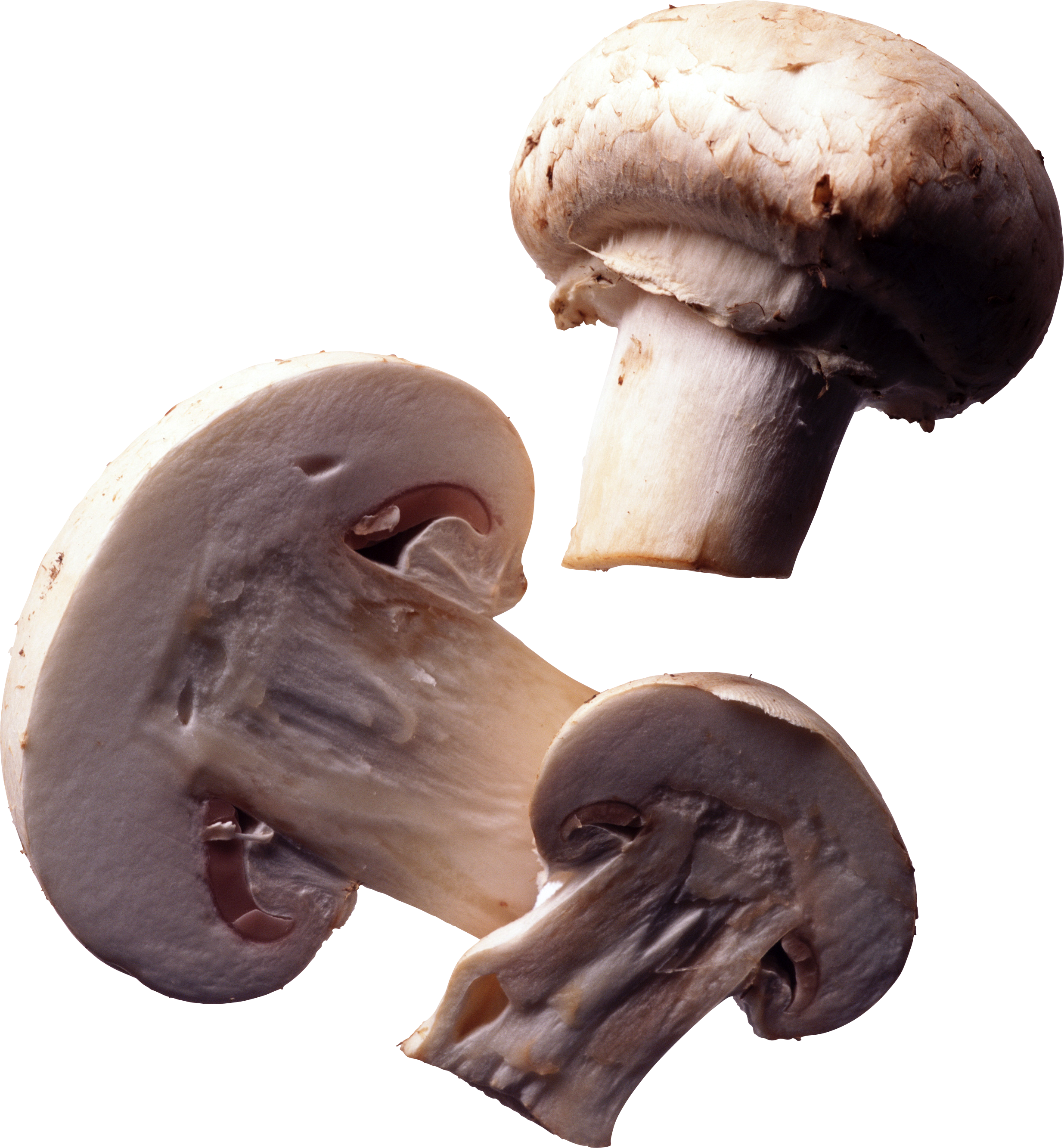 Cut Mushrooms Png Image - Mushroom Transparent (2471x2666), Png Download