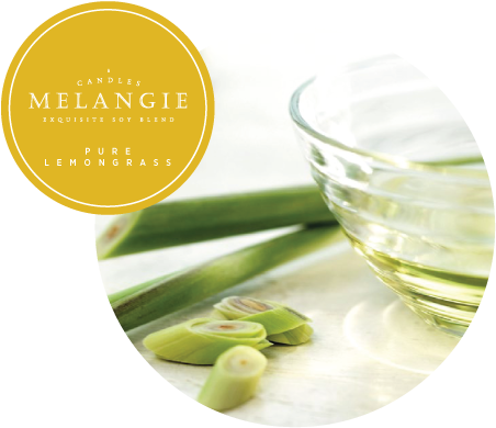 Pure Lemongrass (480x480), Png Download