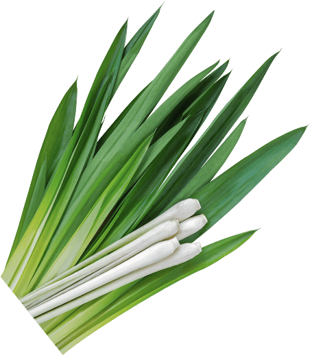 Vouchers - Grass (452x518), Png Download