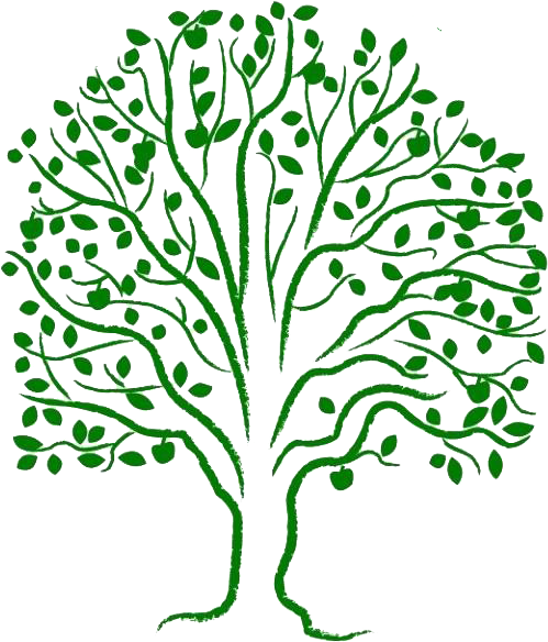 The Tree Of Life - Methodist Women's Fellowship (499x584), Png Download