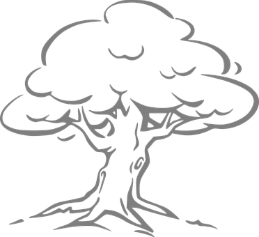Silver Oak Oak Tree Oak Tree Outline Oak O - Black And White Clipart Tree (372x340), Png Download