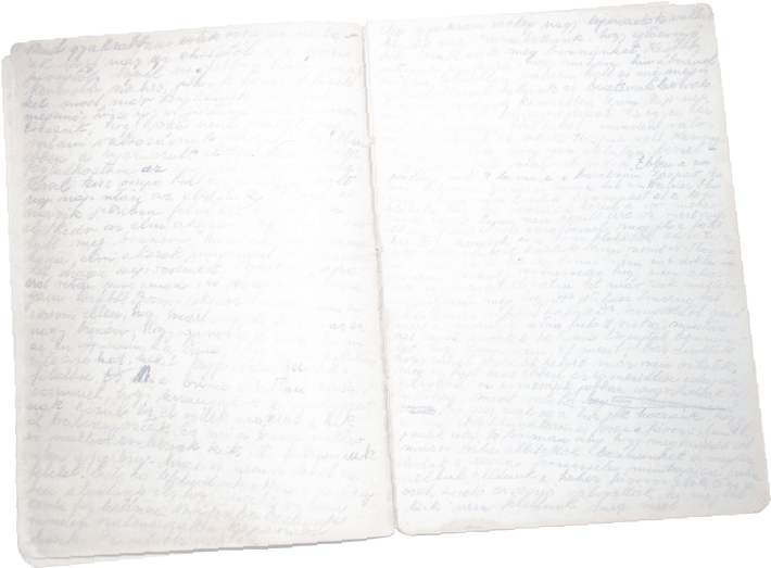 A Page From Júlia Bauer's Journal Written In Auschwitz, - Book (717x527), Png Download