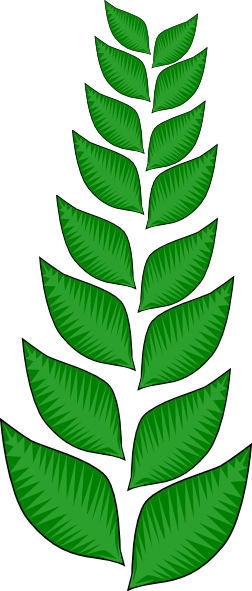 How To Set Use Tree Vine Symbol Clipart (252x591), Png Download